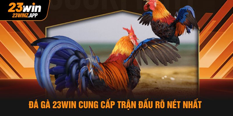Đá gà 23Win cung cấp trận đấu rõ nét nhất