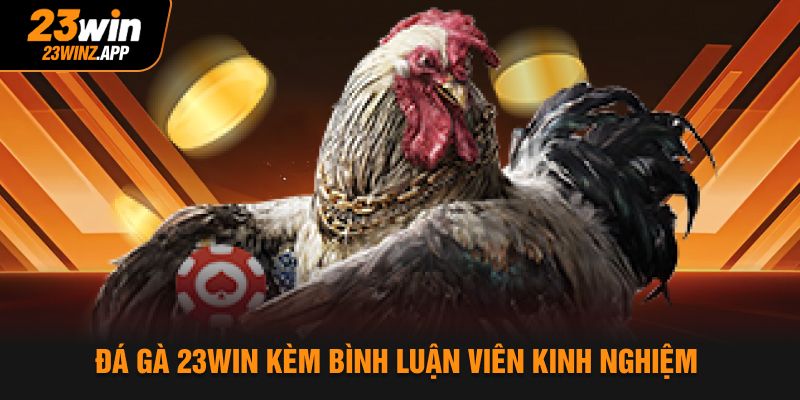 Đá gà 23Win kèm bình luận viên kinh nghiệm