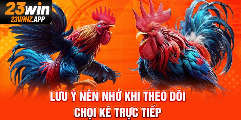Lưu ý nên nhớ khi theo dõi chọi kê trực tiếp