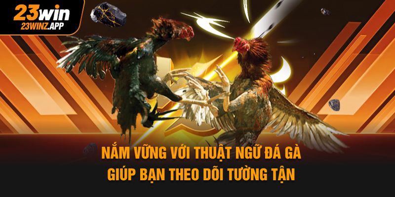 Nắm vững với thuật ngữ đá gà giúp bạn theo dõi tường tận