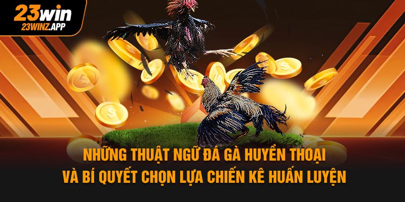 Những thuật ngữ đá gà huyền thoại và bí quyết chọn lựa chiến kê huấn luyện