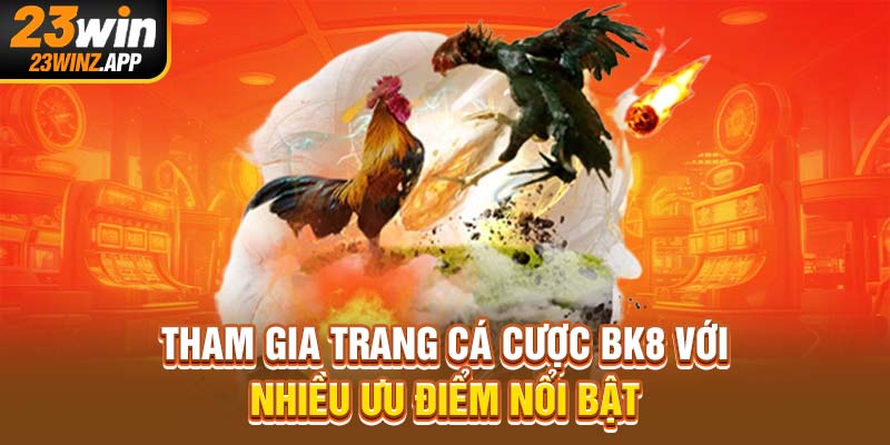Tham gia trang cá cược BK8 với nhiều ưu điểm nổi bật