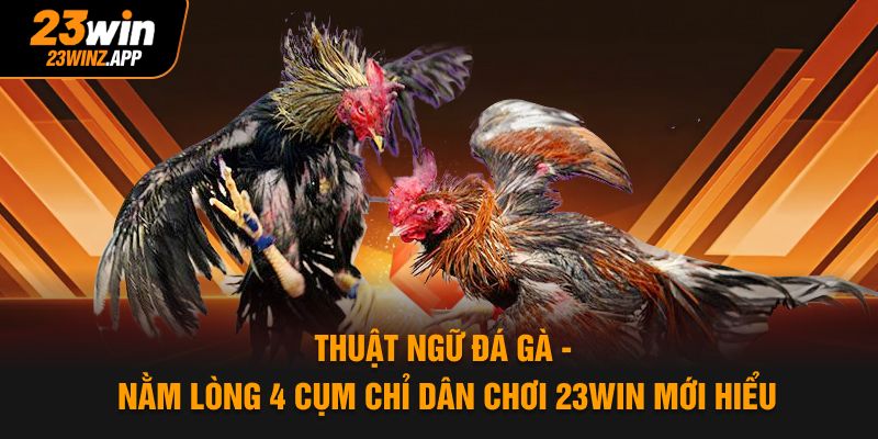 Thuật Ngữ Đá Gà - Nằm Lòng 4 Cụm Chỉ Dân Chơi 23Win Mới Hiểu