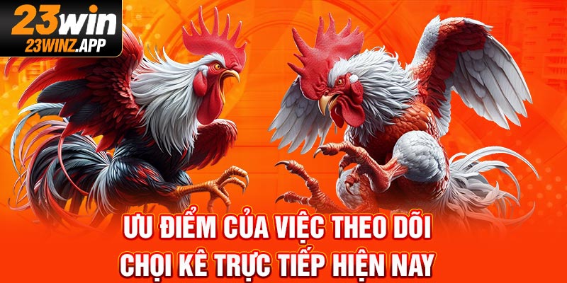 Ưu điểm của việc theo dõi chọi kê trực tiếp hiện nay