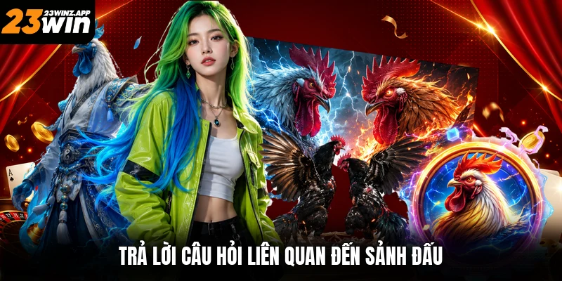 Trả lời câu hỏi liên quan đến sảnh đấu